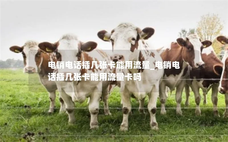 电销电话插几张卡能用流量_电销电话插几张卡能用流量卡吗