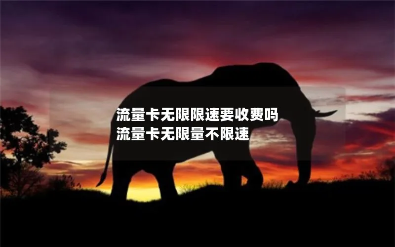 流量卡无限限速要收费吗 流量卡无限量不限速