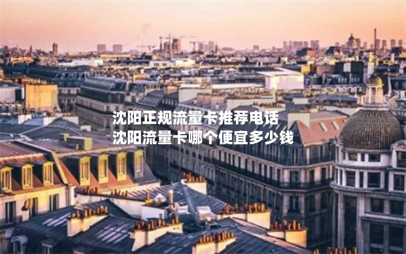 沈阳正规流量卡推荐电话 沈阳流量卡哪个便宜多少钱
