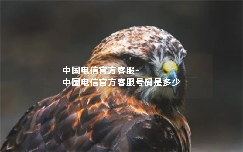 中国电信官方客服-中国电信官方客服号码是多少