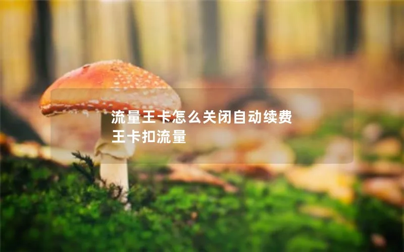 流量王卡怎么关闭自动续费 王卡扣流量
