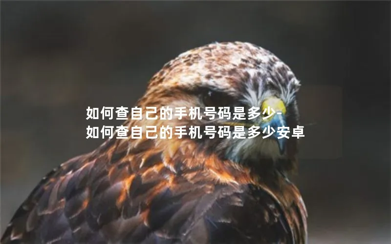 如何查自己的手机号码是多少-如何查自己的手机号码是多少安卓