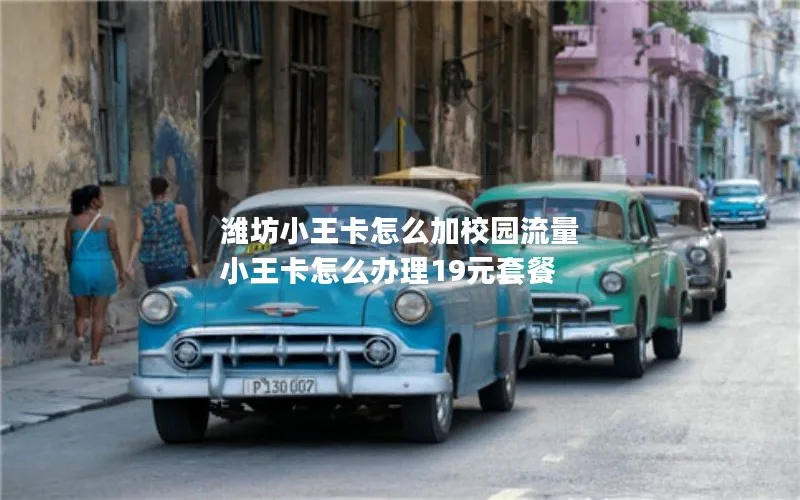 潍坊小王卡怎么加校园流量 小王卡怎么办理19元套餐