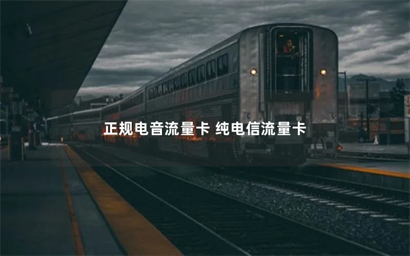 正规电音流量卡 纯电信流量卡