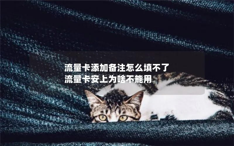 流量卡添加备注怎么填不了 流量卡安上为啥不能用