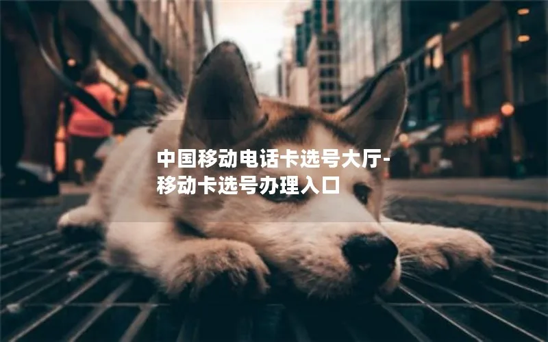 中国移动电话卡选号大厅-移动卡选号办理入口