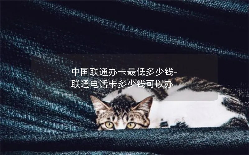 中国联通办卡最低多少钱-联通电话卡多少钱可以办