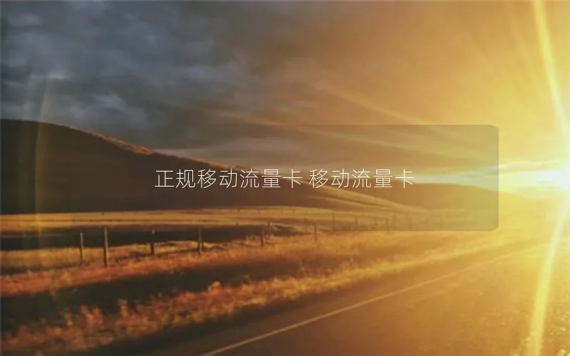 正规移动流量卡 移动流量卡