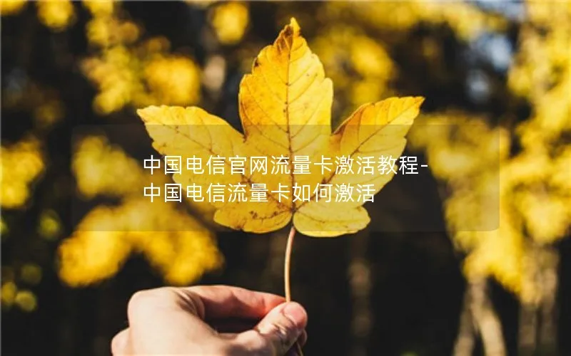 中国电信官网流量卡激活教程-中国电信流量卡如何激活