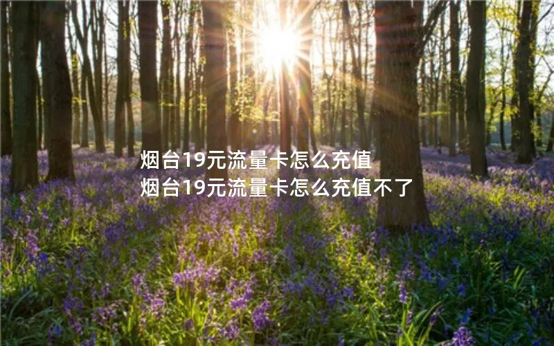 烟台19元流量卡怎么充值 烟台19元流量卡怎么充值不了