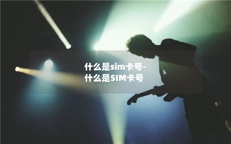 什么是sim卡号-什么是SIM卡号