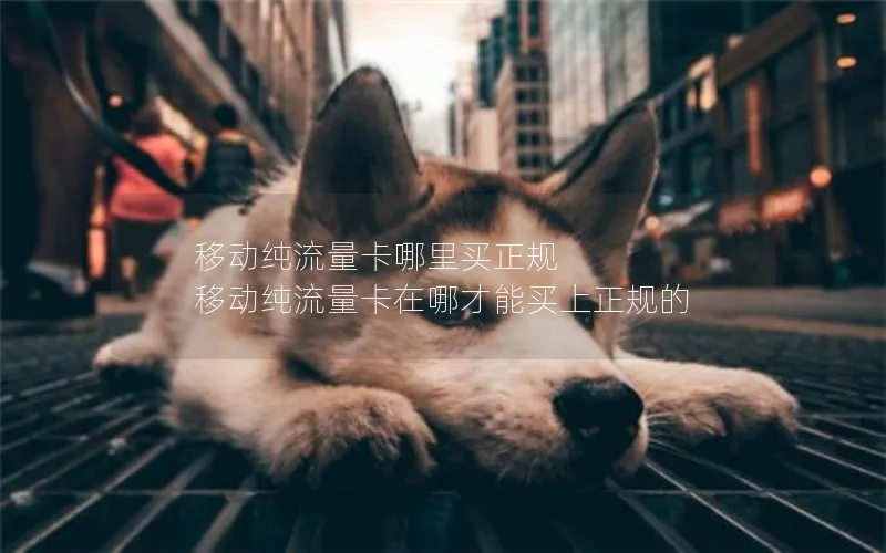 移动纯流量卡哪里买正规 移动纯流量卡在哪才能买上正规的