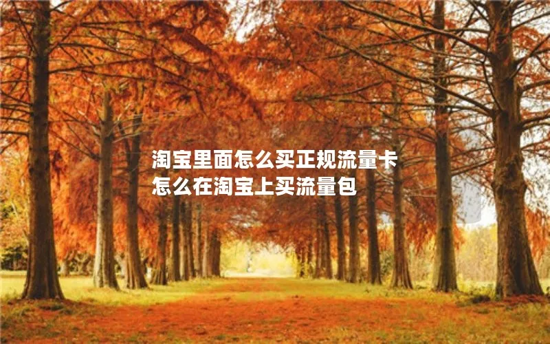 淘宝里面怎么买正规流量卡 怎么在淘宝上买流量包