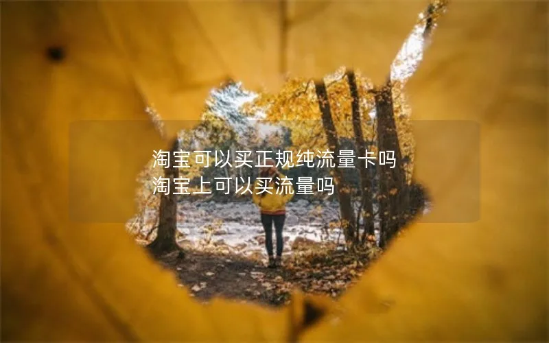 淘宝可以买正规纯流量卡吗 淘宝上可以买流量吗