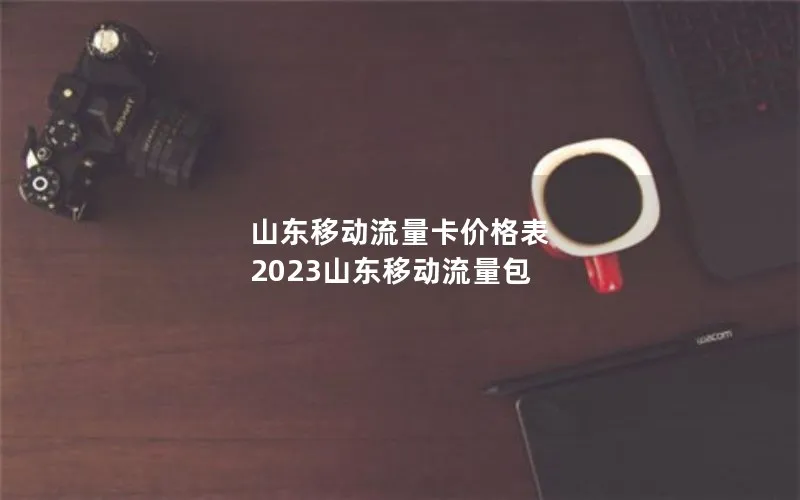 山东移动流量卡价格表 2023山东移动流量包