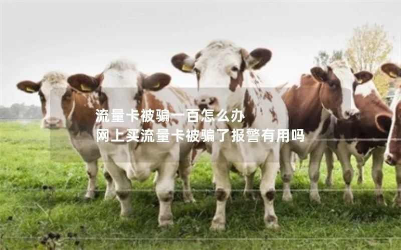 流量卡被骗一百怎么办 网上买流量卡被骗了报警有用吗
