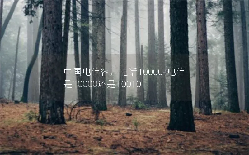 中国电信客户电话10000-电信是10000还是10010