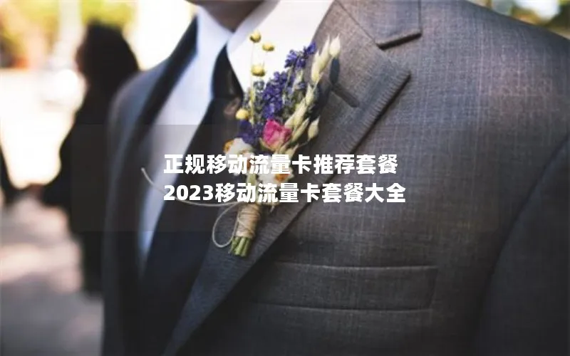 正规移动流量卡推荐套餐 2023移动流量卡套餐大全