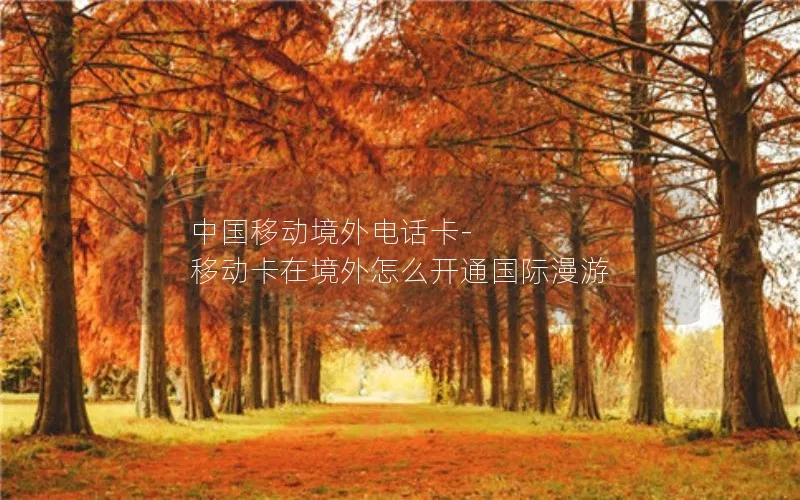 中国移动境外电话卡-移动卡在境外怎么开通国际漫游