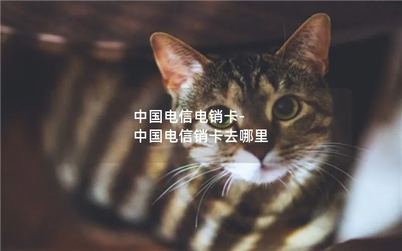 中国电信电销卡-中国电信销卡去哪里