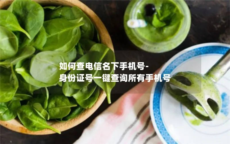 如何查电信名下手机号-身份证号一键查询所有手机号