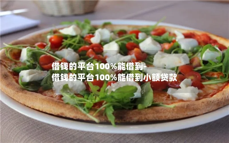 借钱的平台100%能借到-借钱的平台100%能借到小额贷款