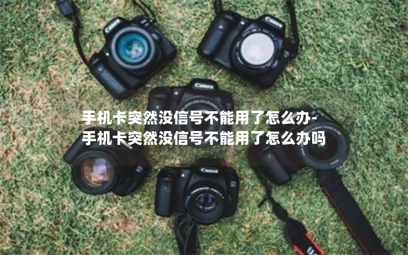 手机卡突然没信号不能用了怎么办-手机卡突然没信号不能用了怎么办吗