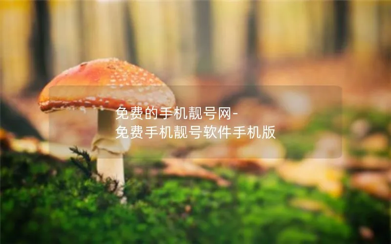 免费的手机靓号网-免费手机靓号软件手机版