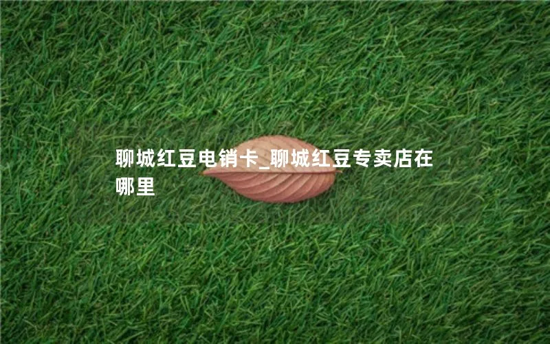 聊城红豆电销卡_聊城红豆专卖店在哪里