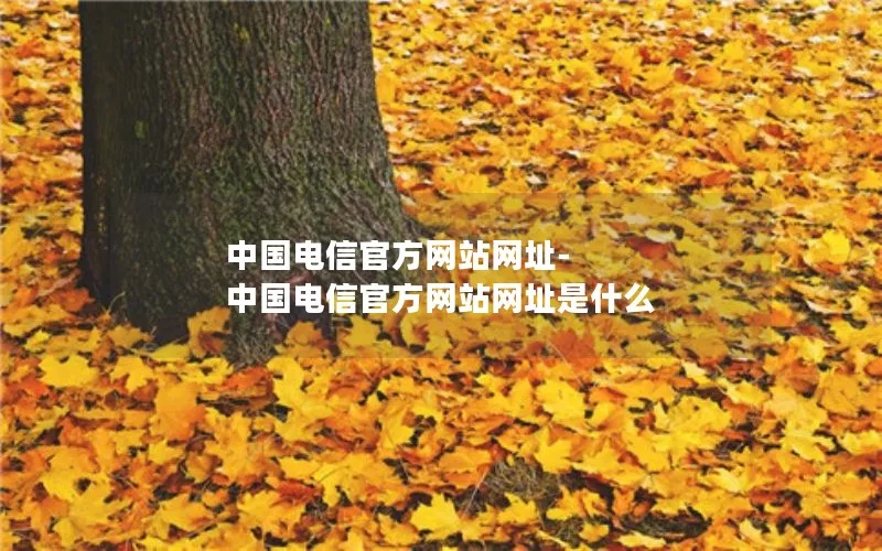 中国电信官方网站网址-中国电信官方网站网址是什么