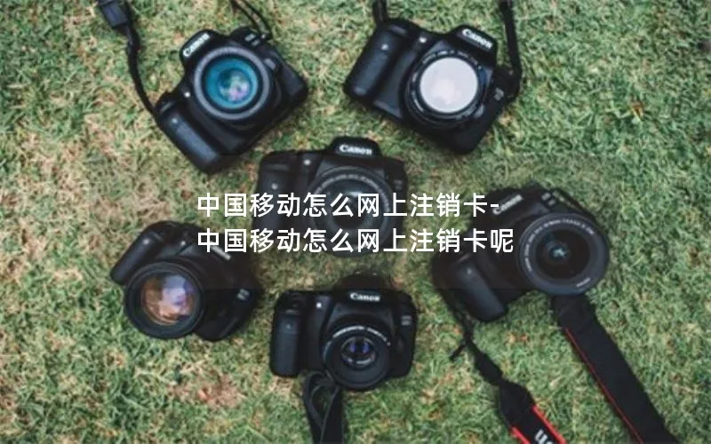 中国移动怎么网上注销卡-中国移动怎么网上注销卡呢
