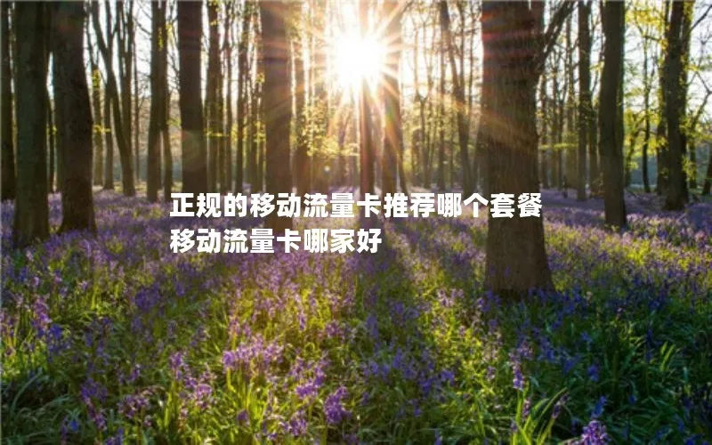 正规的移动流量卡推荐哪个套餐 移动流量卡哪家好
