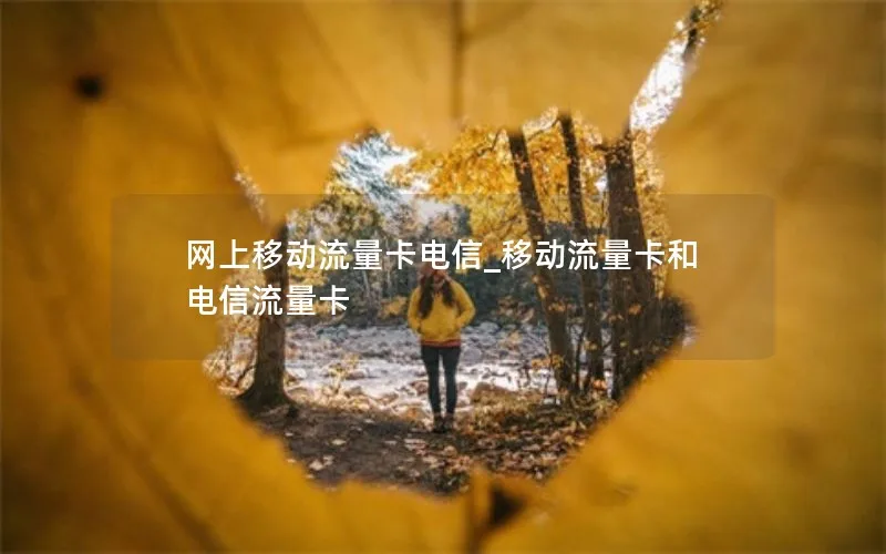 网上移动流量卡电信_移动流量卡和电信流量卡
