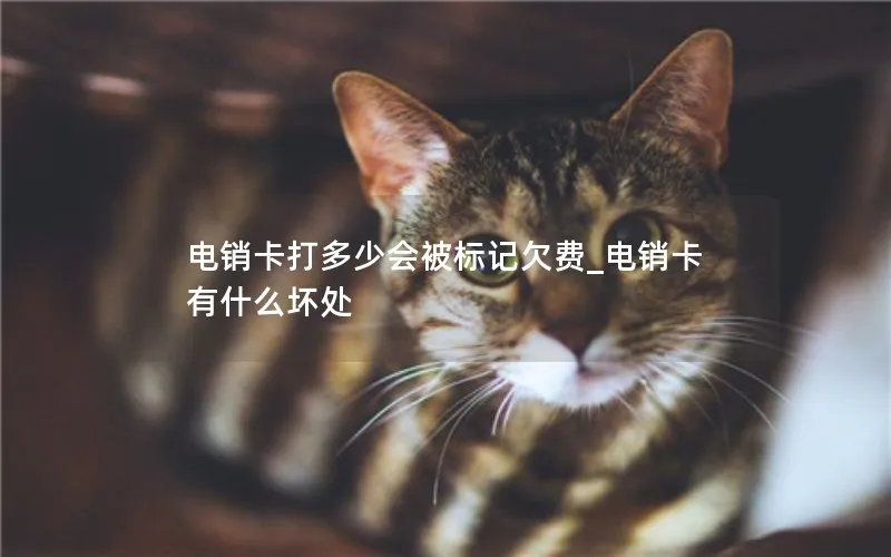 电销卡打多少会被标记欠费_电销卡有什么坏处