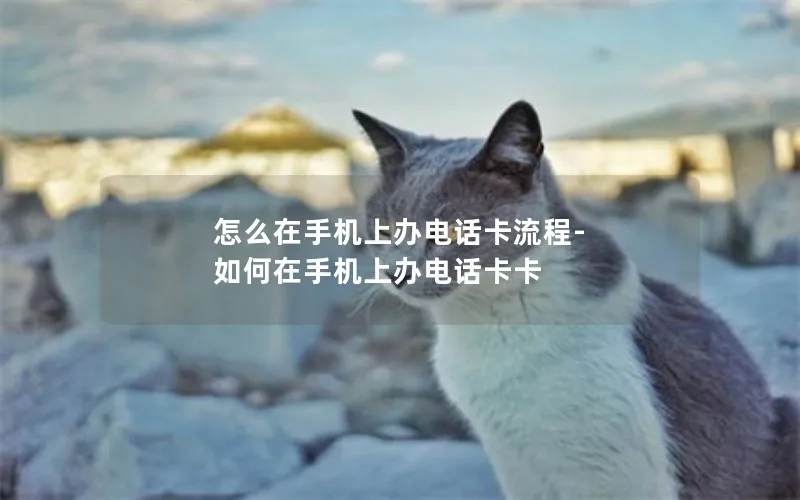怎么在手机上办电话卡流程-如何在手机上办电话卡卡