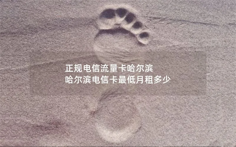 正规电信流量卡哈尔滨 哈尔滨电信卡最低月租多少