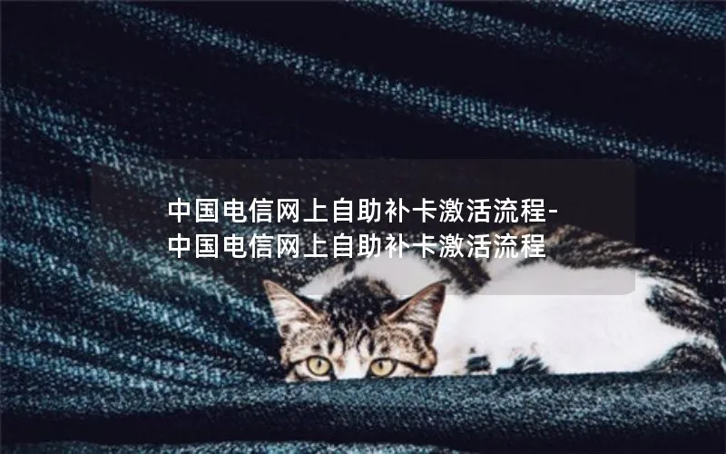 中国电信网上自助补卡激活流程-中国电信网上自助补卡激活流程