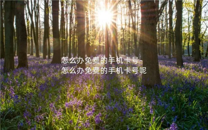 怎么办免费的手机卡号-怎么办免费的手机卡号呢
