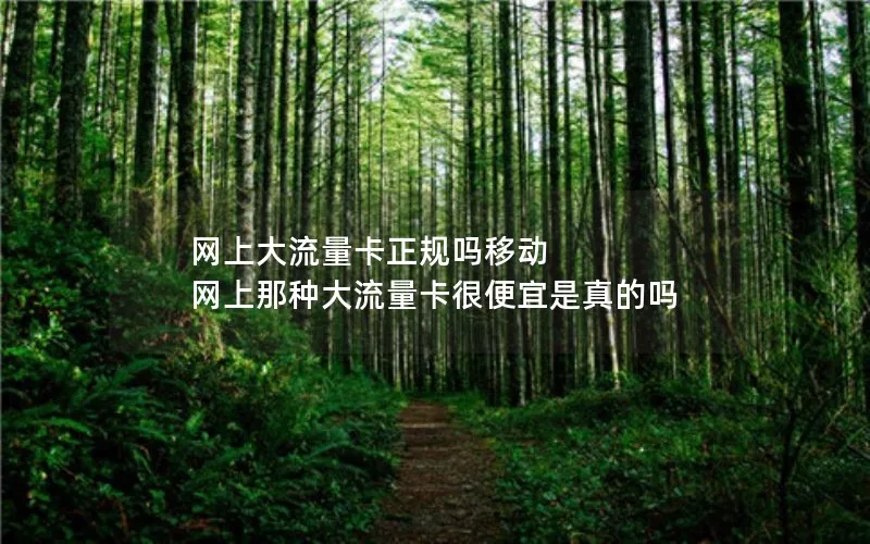 网上大流量卡正规吗移动 网上那种大流量卡很便宜是真的吗