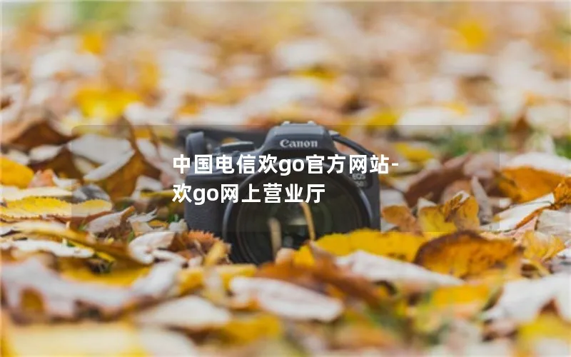 中国电信欢go官方网站-欢go网上营业厅