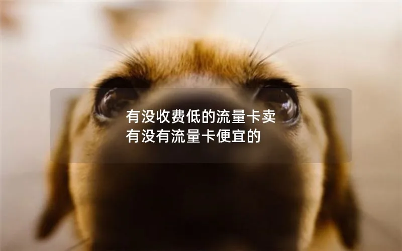 有没收费低的流量卡卖 有没有流量卡便宜的