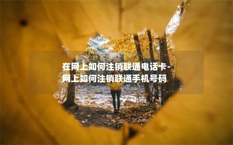 在网上如何注销联通电话卡-网上如何注销联通手机号码