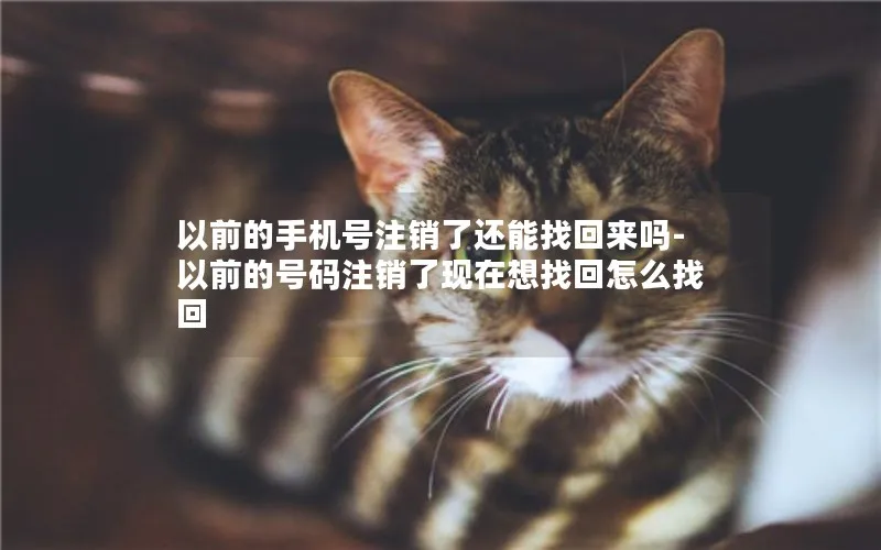 以前的手机号注销了还能找回来吗-以前的号码注销了现在想找回怎么找回
