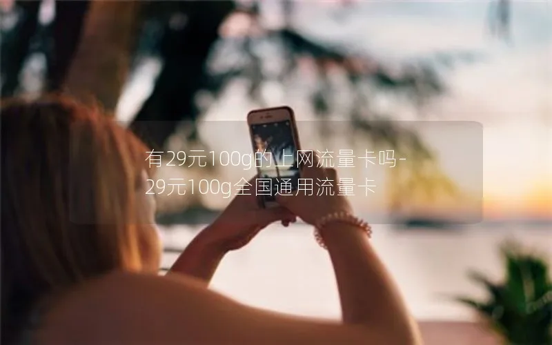 有29元100g的上网流量卡吗-29元100g全国通用流量卡