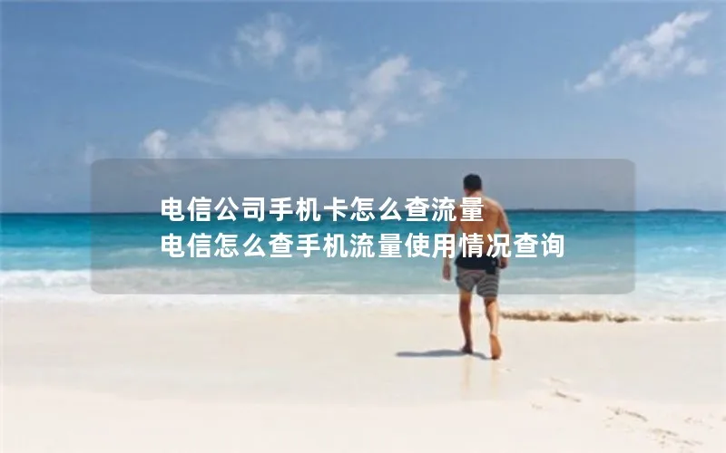 电信公司手机卡怎么查流量 电信怎么查手机流量使用情况查询