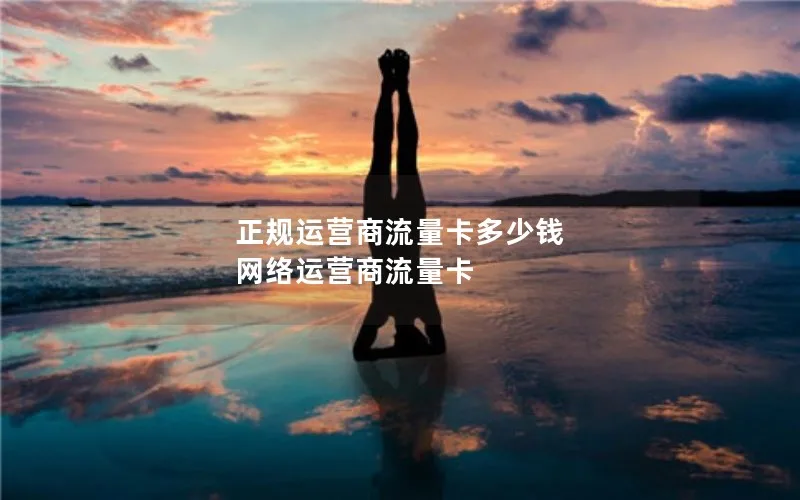 正规运营商流量卡多少钱 网络运营商流量卡