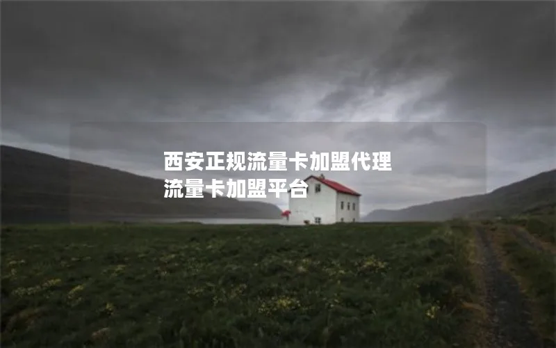 西安正规流量卡加盟代理 流量卡加盟平台
