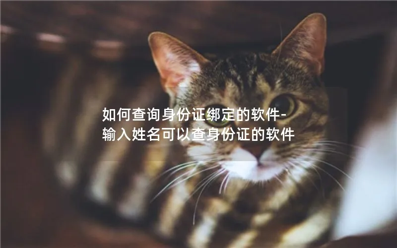 如何查询身份证绑定的软件-输入姓名可以查身份证的软件