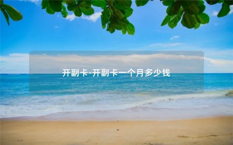 开副卡-开副卡一个月多少钱