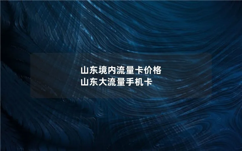 山东境内流量卡价格 山东大流量手机卡